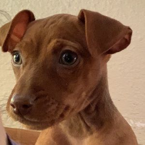 Meet your Posher, Virginia